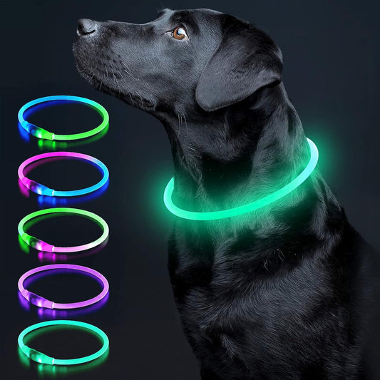 LED Dog Collar Light up Dog Collars 1 Count USB Rechargeable TPU Glow Safety Basic Dog Collars for Large Medium Small Dogs (Cyan)