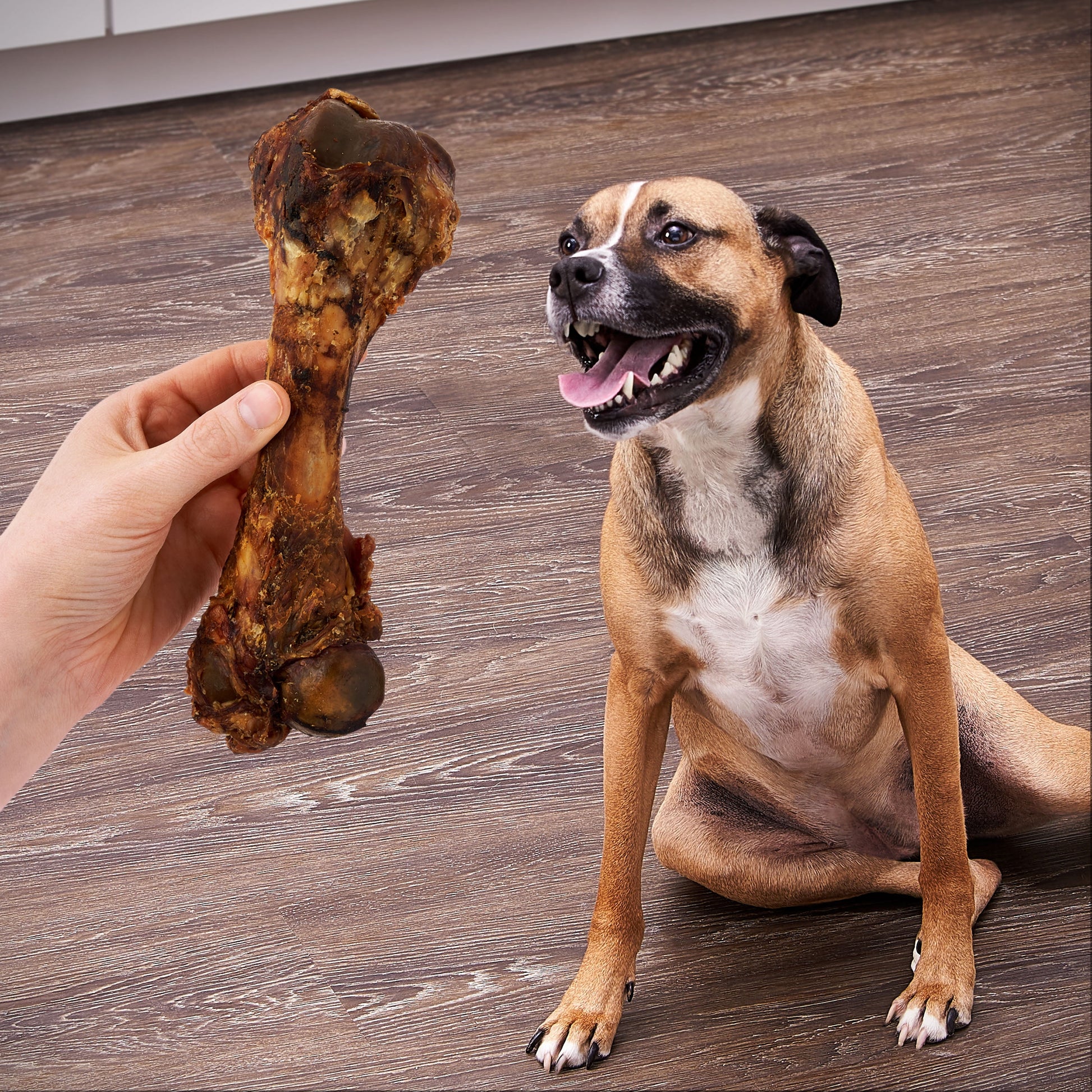 Natural Pork Femur Chew for Dogs, 1 Count, 9.28 Oz